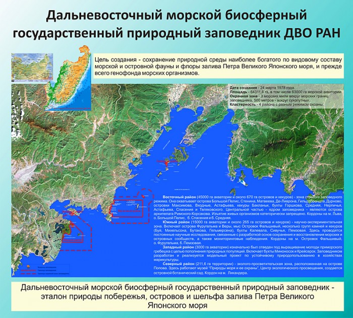Зал 7. «Дальневосточный морской биосферный заповедник»